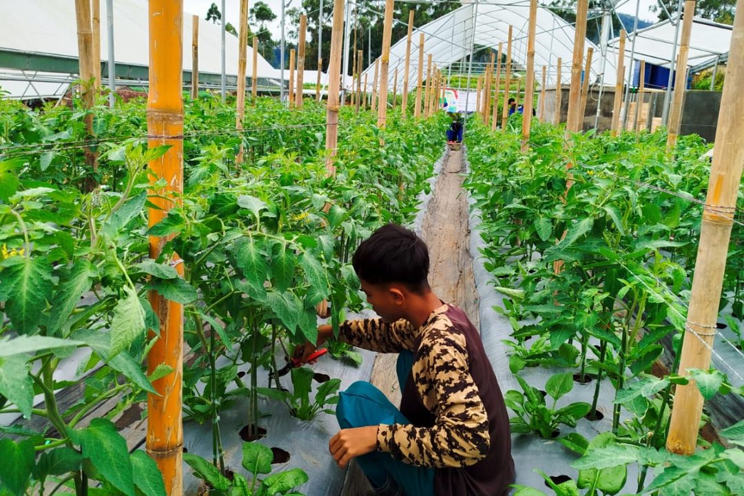 Praktek Kerja Lapngan