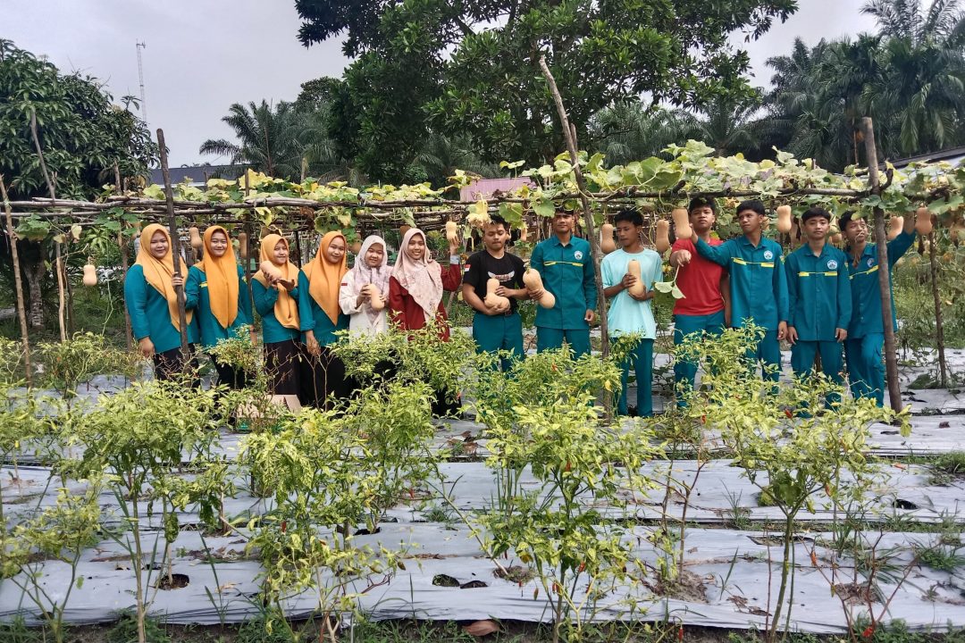 Hasil Panen Labu