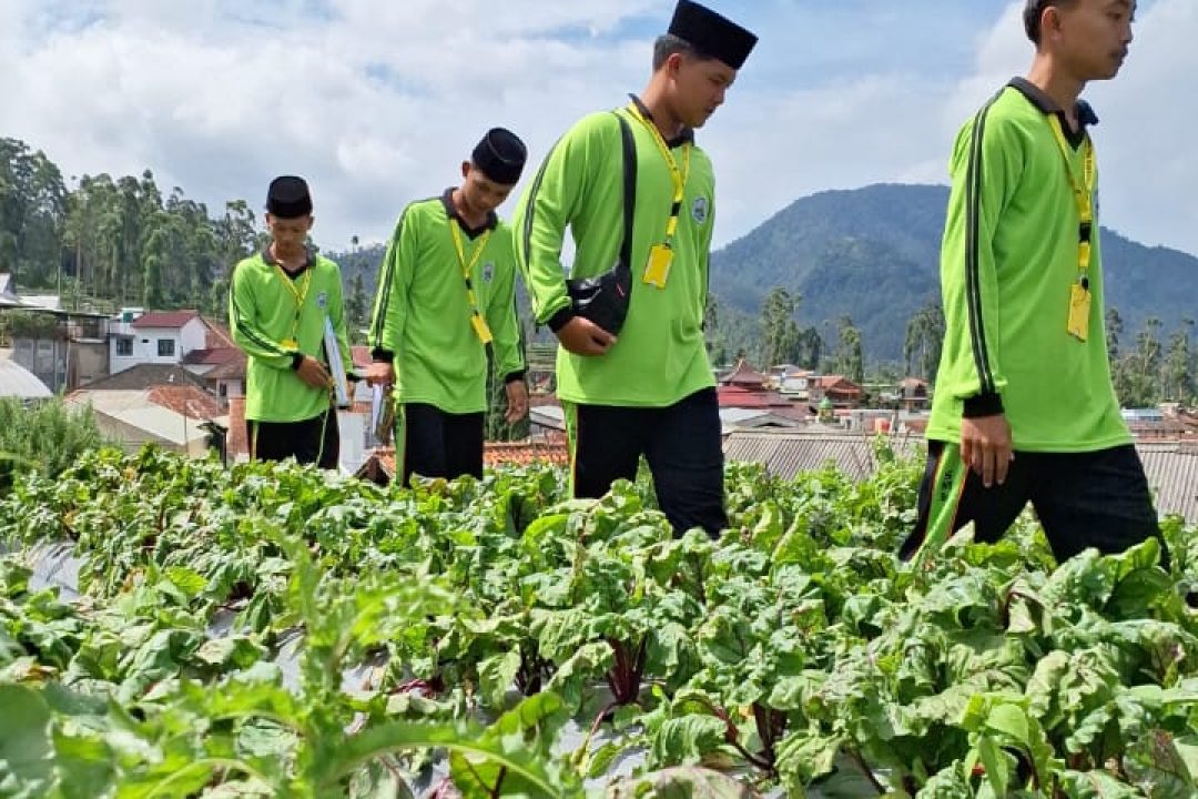 Praktek Kerja Lapangan