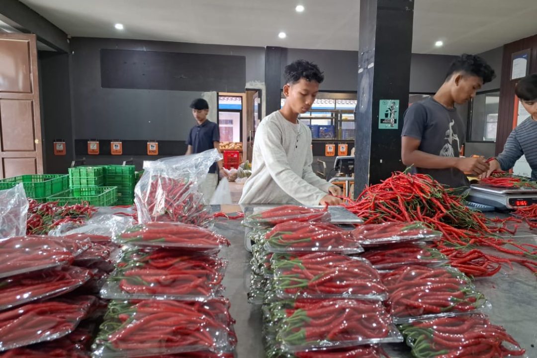 Praktek Kerja Lapangan