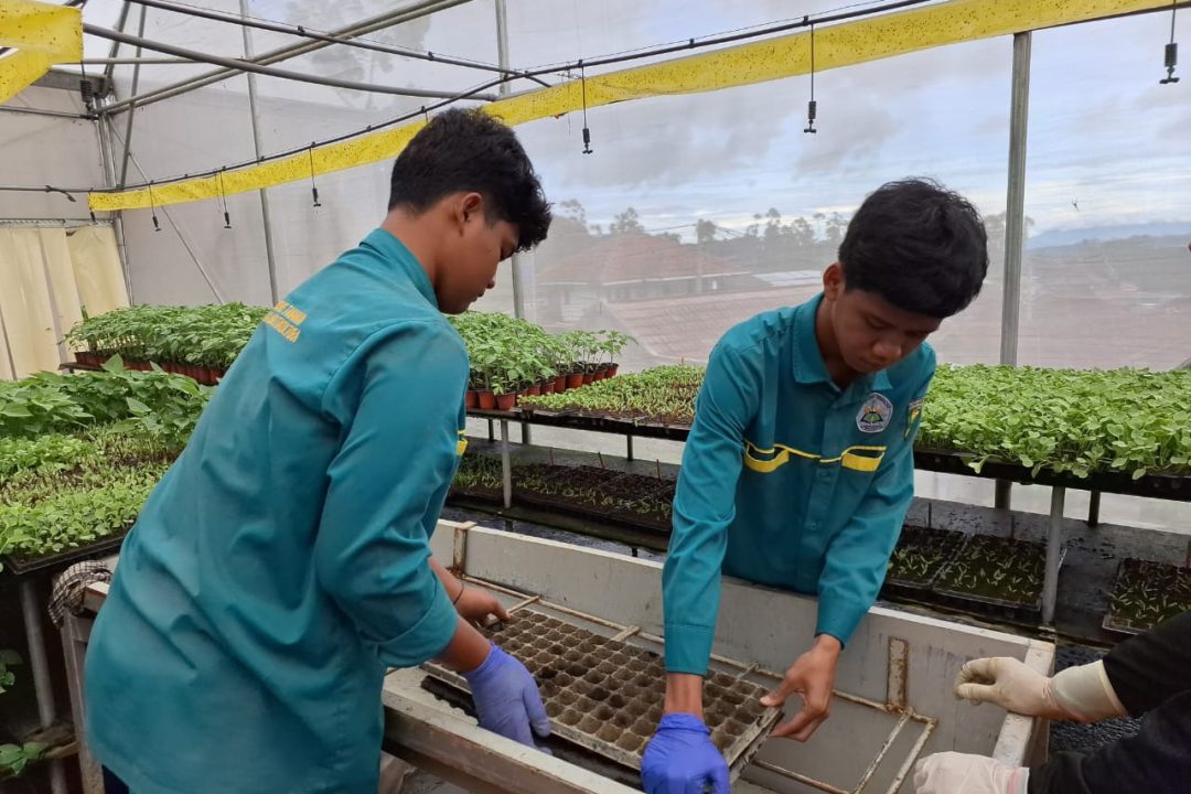 Praktek Kerja Lapangan