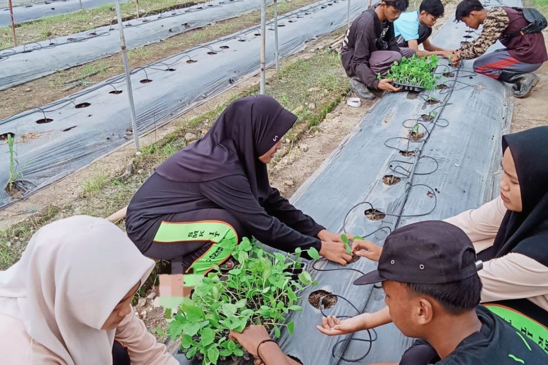 Praktek Kerja Lapangan