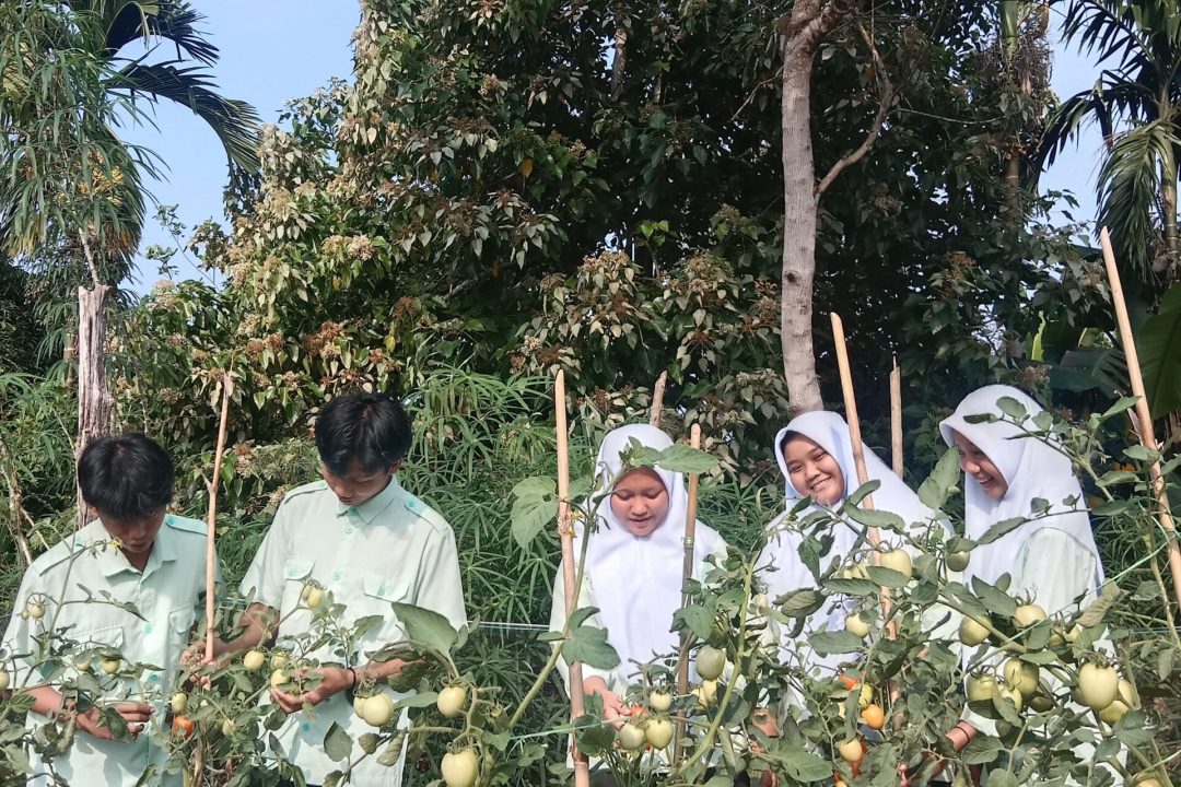 Praktek Impementasi PKL